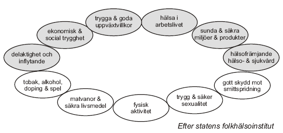 Förutsättningar för en jämlik och jämställd hälsa enligt FHI (2003) De elva prioriterade folkhälsomålen enligt FHI är: Ekonomisk och social trygghet: Att ha en ekonomisk och social trygghet är en