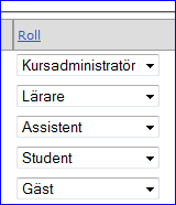 4.1 Roller på en kurssajt Tillgängliga roller på en kurssajt är Kursadministratör, Lärare, Assistent, Student och Gäst.