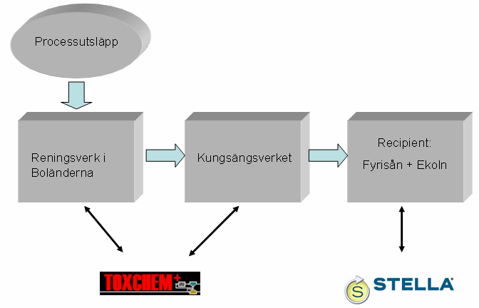 2. TEORI 2.1 EXPONERINGSMODELLEN En exponeringsmodell har tidigare utvecklats av Ångpanneföreningen (ÅF) för att beskriva hur kemikalier fördelar sig i reningsverk och i recipient.