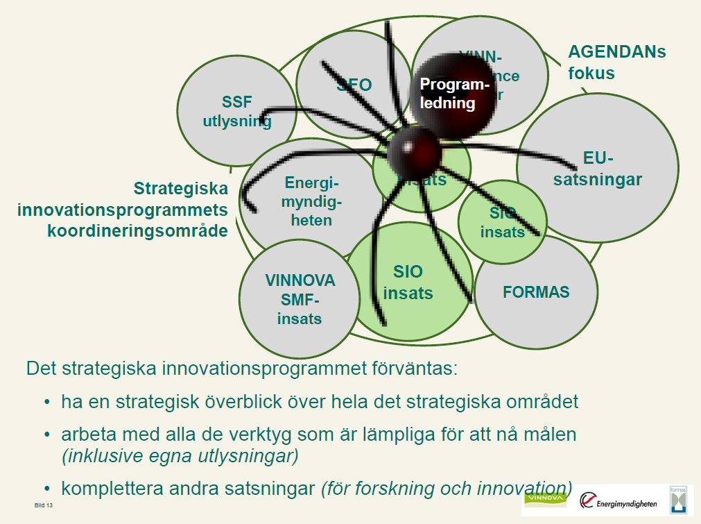 SPINDELN I NÄTET Källa: Presentation Informationsmöte inför ansökan till