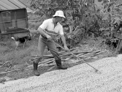 Rättvisa i din kaffekopp Vägen ut ur krisen som Kooperation Utan Gränser ser det Återställ balansen Som vi har kunnat konstatera så är den omedelbara orsaken till kaffekrisen orsakad av att utbudet