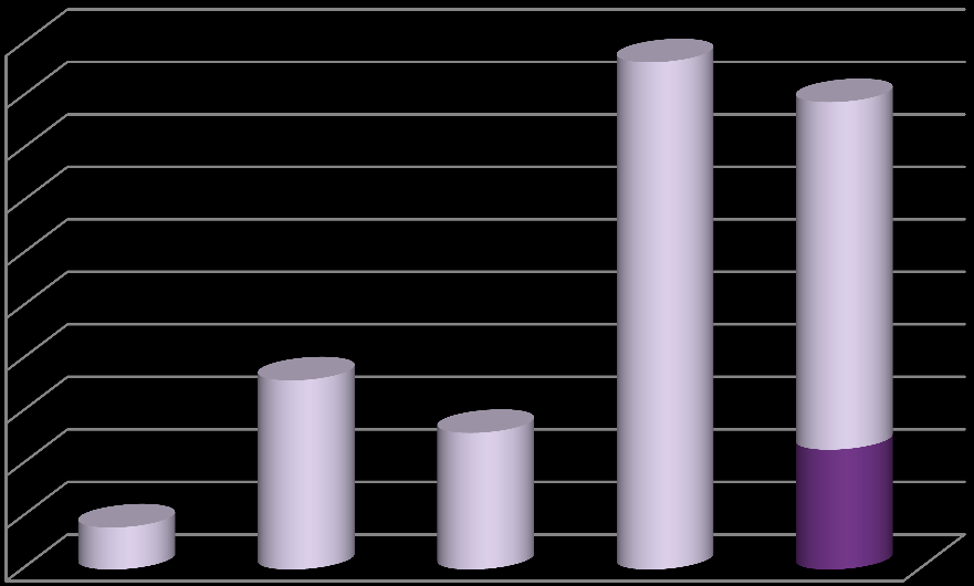 Antal Antal unga som valt att lämna åsikter Totalt 445 svarade på enkäten, varav 429 svar var individuella. Vad vi kunde utläsa hade två klasser/grupper svarat på enkäten.