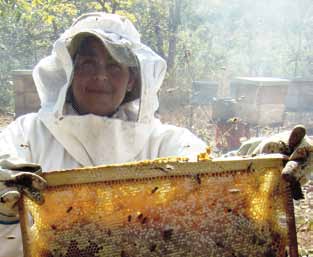 Om du har varroa, ange bekämpningsmetod(er) I detta nummer OKTOBER 2011 Mer Bin Trapphiss för skattlådor 5 I bigården 6 Aktuellt i oktober 7 Biodling i halmkupor 2009-2011 8 Bihälsa: Resistens,