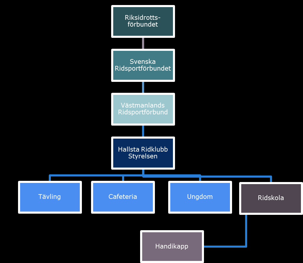 1:2 ORGANISATION OCH STRUKTUR Hallsta Ridklubb är en ideell förening som drivs av en styrelse. Det finns en chef anställd för att driva ridskoleverksamheten samt anställda ridlärare.