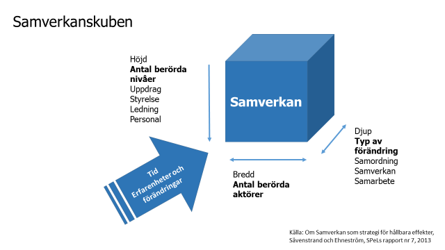 Ibland kan projekten vara just samverkansprojekt men de kan givetvis också vara förändringsprojekt eller försöksprojekt. Projekt förväntas också på ett eller annat sätt bidra med något nytt.