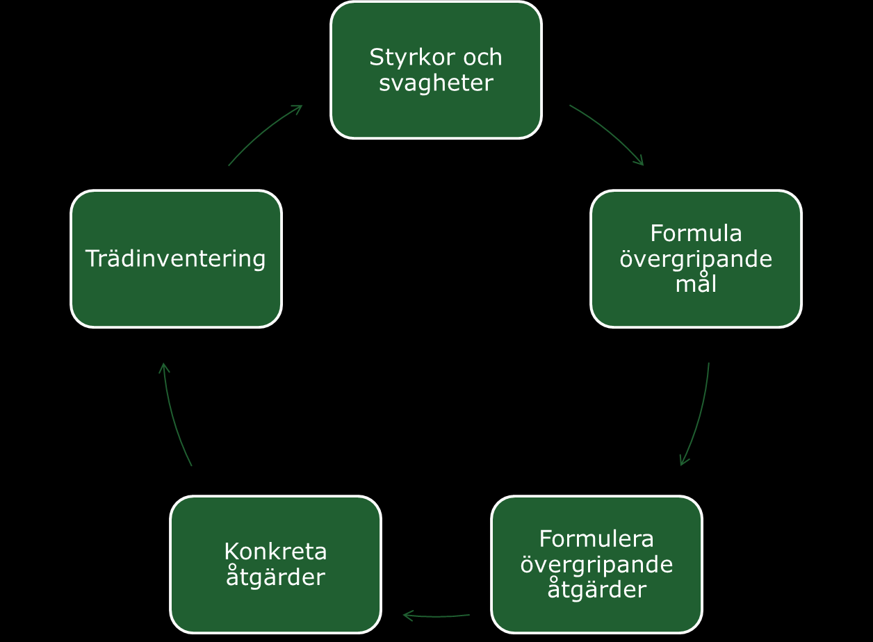 Trädplaner - vilka delar ska vara med? För ett år sedan beskrevs hur en trädplan skulle skrivas för att bli användbar.