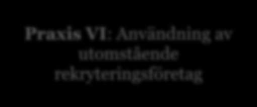 76 Externa utmaningar Interna krav Rekryteringspraxis för små företag NYTTOMAXIMERING genom följande: RESURSMINIMERING genom följande: Praxis I: Evaluering av kandidatens lämplighet Praxis II: