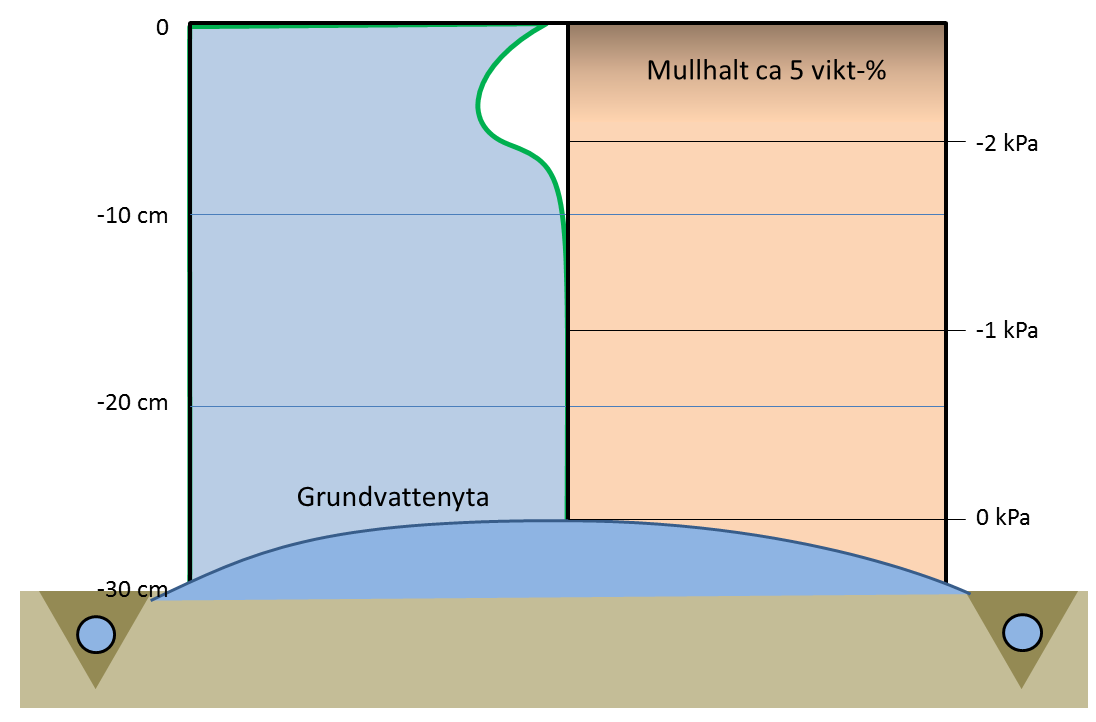 Om det är stor skillnad i fraktionskurva för dressmaterialet och underliggande växtbädd, blir perkolationen låg och det finns inte mycket marginaler för infiltration av regn.