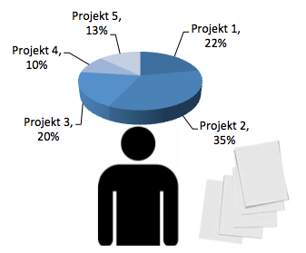 Figur 3: En uppdelad resurs Figuren illustrerar hur en resurs utnyttjas i en resurseffektiv modell.