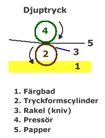 Tryckprocessen åskådliggörs i Figur 3.3-3. 1. Färgen från ett färgtråg tas upp av aniloxvals vars yta är täckt med ett raster av små celler. Överflödig färg tas bort med en rakel. 2.