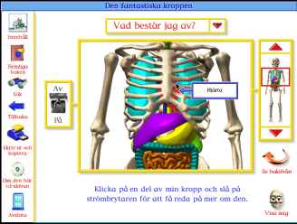 Bild: 30: Ur Den Fantastiska Människokroppen. med det organ som man vill studera. Därefter trycker man på on och första bilden visar sig (se bild 29).