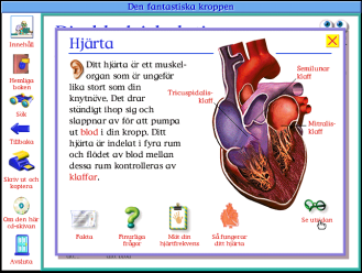 Bild 32: Ur Den Fantastiska Människokroppen. kunskap inom olika ämnesområden. Jag har exemplifierat med program som handlar om människokroppen.