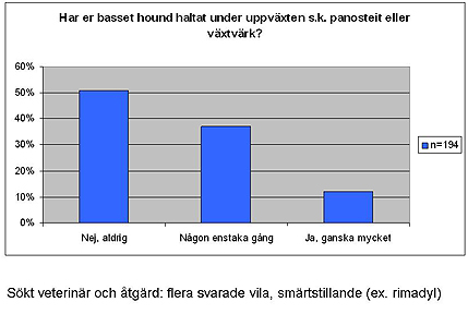 Hälta Då rasen tillhör de tyngre och mer snabbväxande raserna kan det förekomma s.k. panosteiter, vilket enklast förklaras som en form av växtverk.