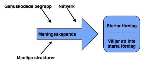 vilket leder till att persner sm inte passar in i den strukturen blir ifrågasatta i finansieringssituatiner.