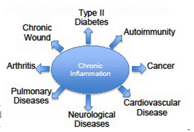 Inflammations inblandning Inflammation är alltid inblandat avseende autoimmuna sjukdomar och leder till ackumulering av oxidativ påfrestning i kroppen.