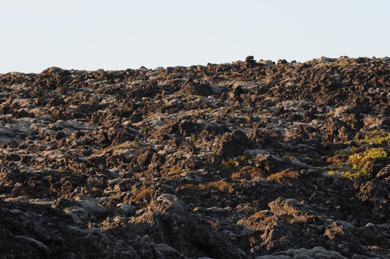 Bakgrund; 2007 besökte en delegation från Piteå vår bortglömda vänort Grindavik.