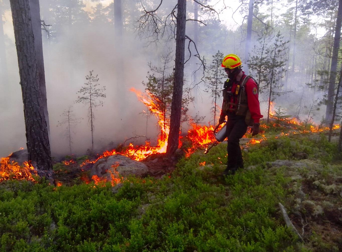 Utan rätt typ av bränningsutrustning vid en naturvårdsbränning och utan att personalen vet hur den utrustningen används på det mest effektiva sättet kan medföra stora risker.