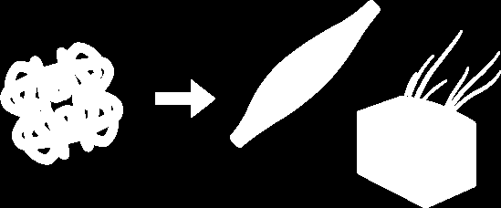 2 PRO PLANS foderskola - Del I Proteiner och deras funktioner Inledning Maten som vi ger till våra hundar består av olika typer av näringsämnen.