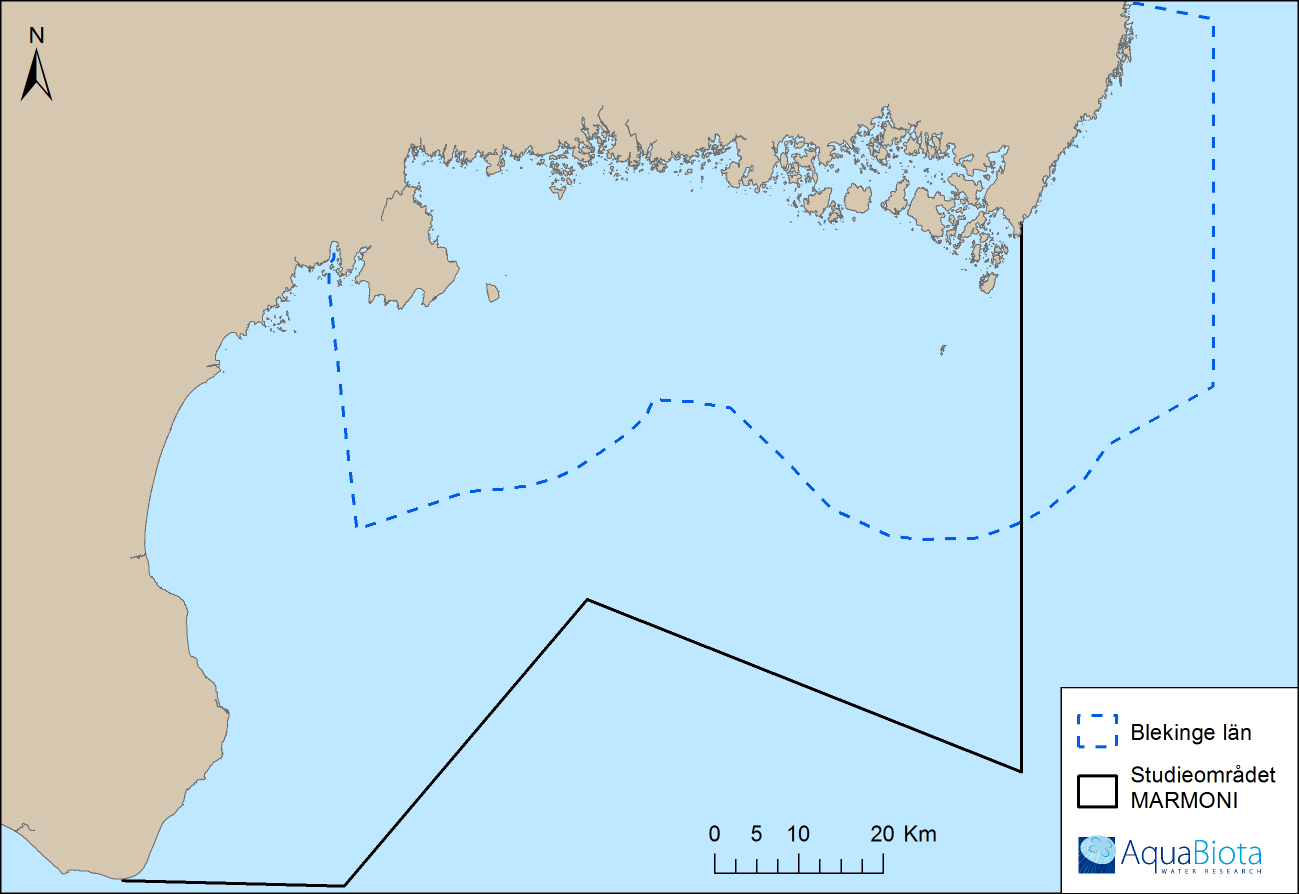 1 Bakgrund och syfte Inom projekten MARMONI och Biogeografisk uppföljning har omfattande inventeringar och modelleringar av marina organismer utförts inom Blekinge och Skåne län.