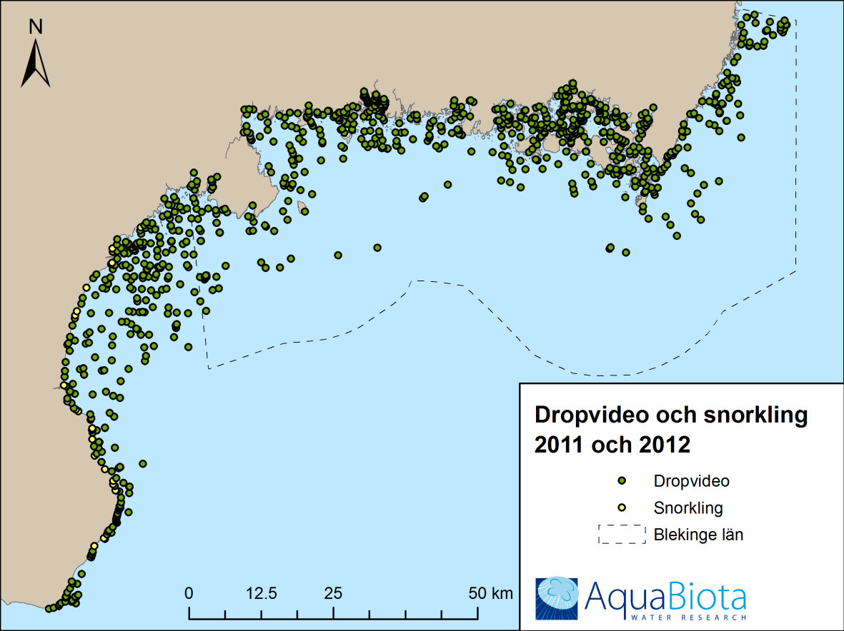 Figur 2. Stationer som inventerats inom MARMONI-projektet med dropvideo och snorkling under 2011 och 2012. 3.1.3 Dyktransekter I juni 2011 utfördes 17 dyktransekter på sex lokaler i Blekinge skärgård.