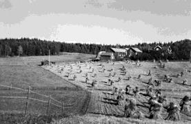 En ny bok om Kvarsebos historia Entusiaster 1999 var vi några entusiaster som återupplivade Kvarsebo hembygdsförening.