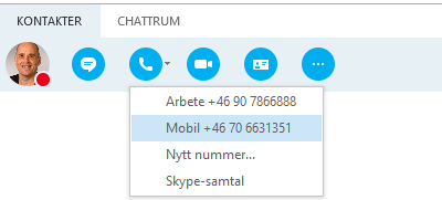 Ring med Skype för företag Personen är tillgänglig (grön).