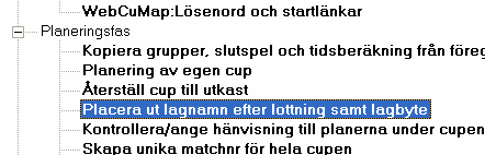 I aktivitetskalendern kan du sedan manuellt placera ut matcher och flytta matcher.