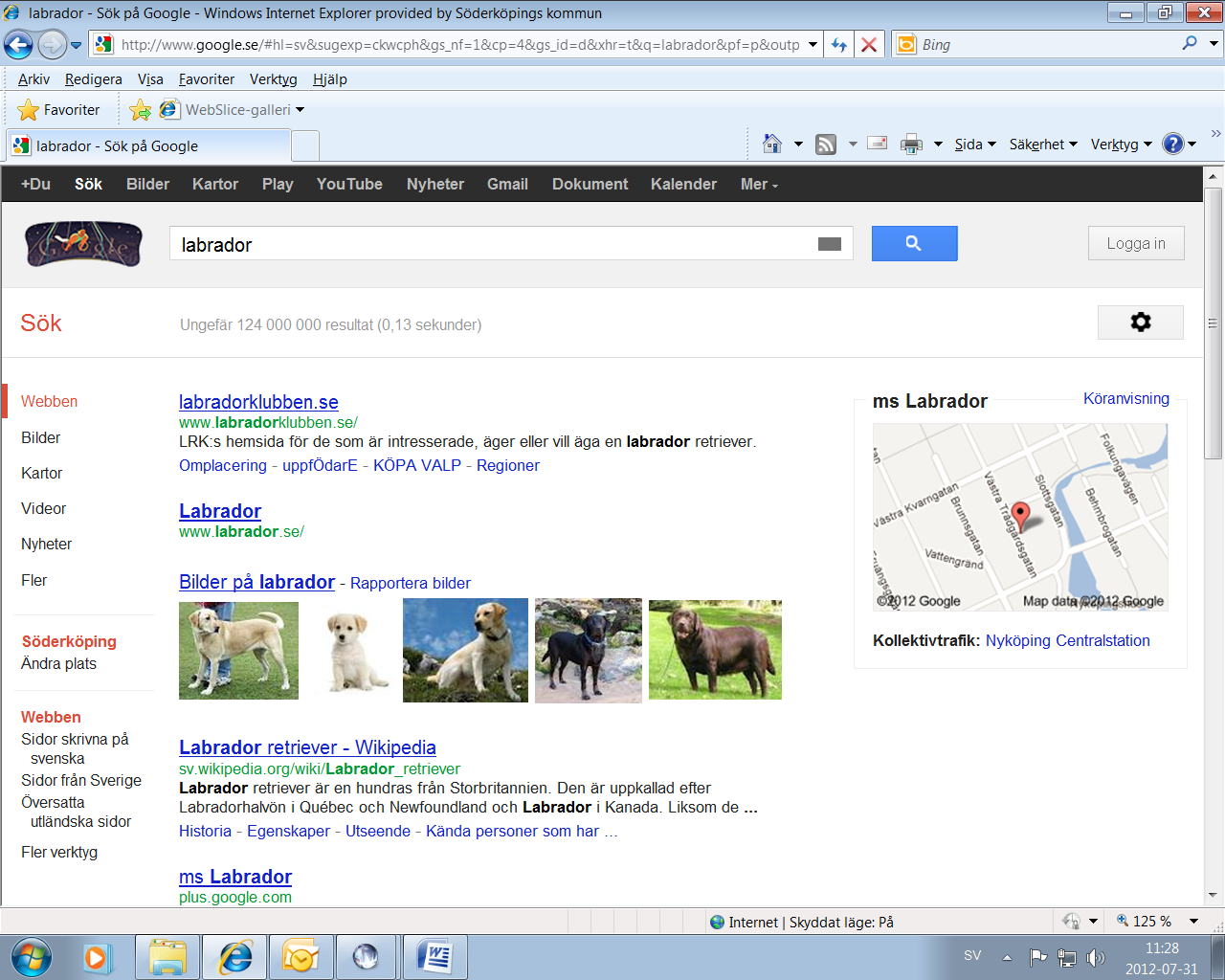 7 Medan du söker ser du även resultaten på sidan. Google gör en sökning och föreslår 124 000 000 webbsidor där ordet labrador förekommer.