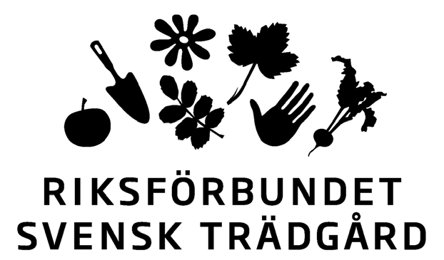 Passar i rabatt, grusbäddar och i urnor. En drömväxt! Vårmarknad i Vindeln 24 maj Vi säljer växter och grönsaker denna dag. Intäkterna är vår största inkomst.