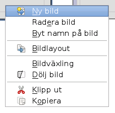 Anpassa en presentation 5) Dölj den valda bilden. Den kommer att visas i presentationen. 6) Kopiera och klistra in en bild. 7) Klipp och klistra en bild.