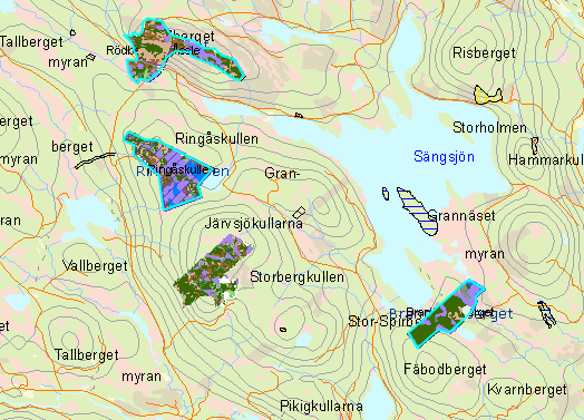 Åsele Vindkraft AB Järvsjökullarna Samråd den 16 maj 2015 Rödbergstjärnvägen på Sängsjöbergets sydsluttning ligger ett mindre område med biotopskydd.