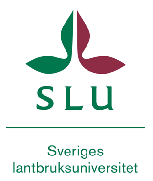 Vad vill du bli? - Välj själv! Det finns en rad tänkbara yrkesroller efter din utbildning. Tanken med vissa kurser i årskurs tre är att du själv ska kunna välja det som passar din tänkta karriär.