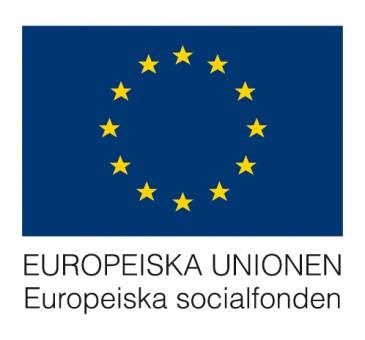 Projekten finansieras av: Tillväxtverket, Ungdomsstyrelsen Europeiska regionala