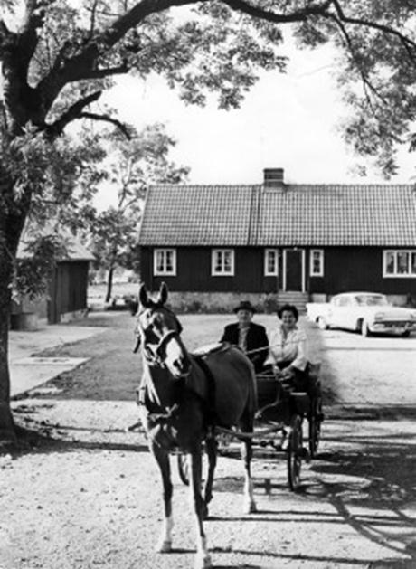 SKÅNE NORDVÄSTS STYRELSE Från Båstad järnvägsstation, Stationsterrassen via Båstad centrala delar, Köpmansgatan (förslagsvis stopp vid Båstad torg), fortsättning på väg 115 till Birgit Nilssons väg