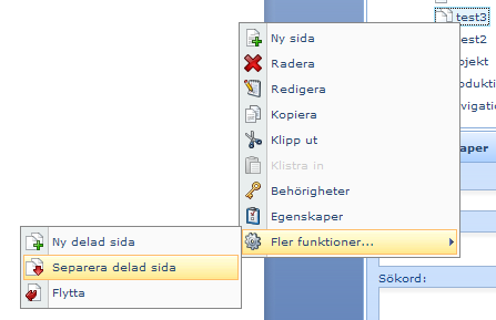 6.1.1 Lägg till delad sida Ibland kan det vara smidigt att låta två sidor dela innehåll med varandra. Klicka på pilen under knappen Ny sida och välj Ny delad sida.