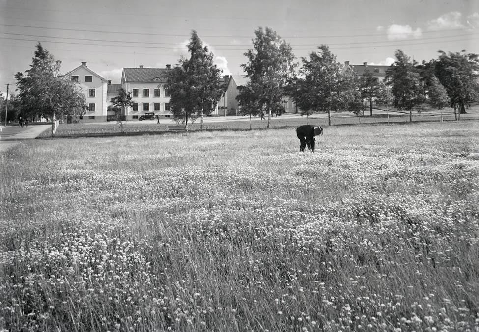 Lulebygdens Forskarförening Lulebygdens 1 Forskarförening Medlemstidningen - Nr 87 - Februari 2015 Okänd fotograf/norrbottens Museums bildarkiv Kvarteret Loet som på bilden avgränsas av Storgatan och