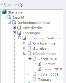 Redigera sida Vi börjar med att kmplettera startsidan = Sidan med föreningens namn Klicka på denna sida i navigeringsträdet ch sedan på Redigera -fliken vanför arbetsytan.