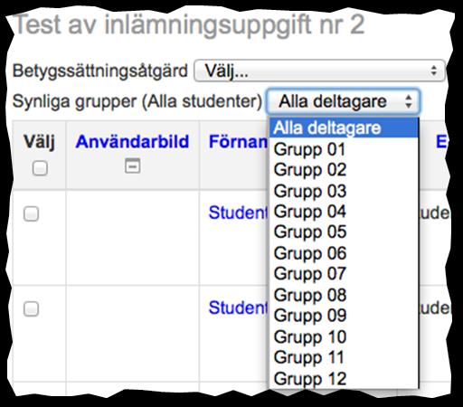 6. Gruppvy visa endast en grupps studenter i inlämningsöversikten Om tillgängligheten till inlämningsuppgiften är begränsad med hjälp av en gruppindelning med ett flertal grupper inlagda, kan detta