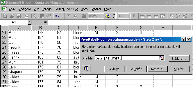 Steg 3 pivottabell