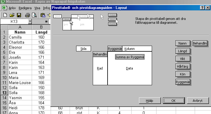 Steg 5 pivottabell [bestäm vilka