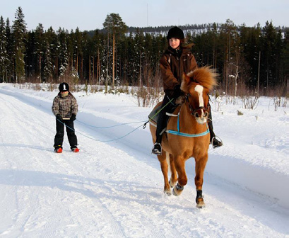 Nyhetsbrev december 2011 Här kommer det sista nyhetsbrevet för 2011.