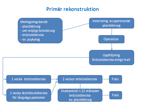 Bilaga 4. Flödesdiagram för direkta bröstrekonstruktioner.