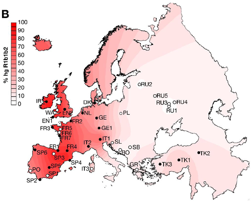 Samma mutationsslump gör förstås också att en persons släktlinje kan ha tillhört exempelvis ht 4 i flera tusen år, men en inträffad mutation i närtid på någon av de 12 markörerna gjort att