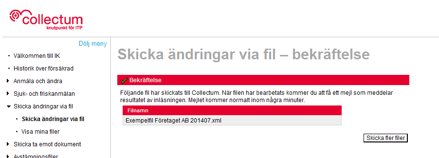 6. Är filformatet i enlighet med vår kravspecifikation placerar sig filen enligt bilden nedan. Skicka filen/filerna genom att klicka på knappen Skicka fil. 7.