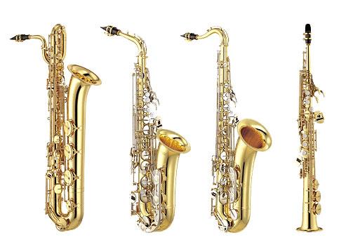 saxofon är ett träblåsinstrument. Den består av ett metallrör som är uppåtböjt i mynningen i de flesta former. Bara den minsta formen, sopransaxofonen, har ett rakt rör.