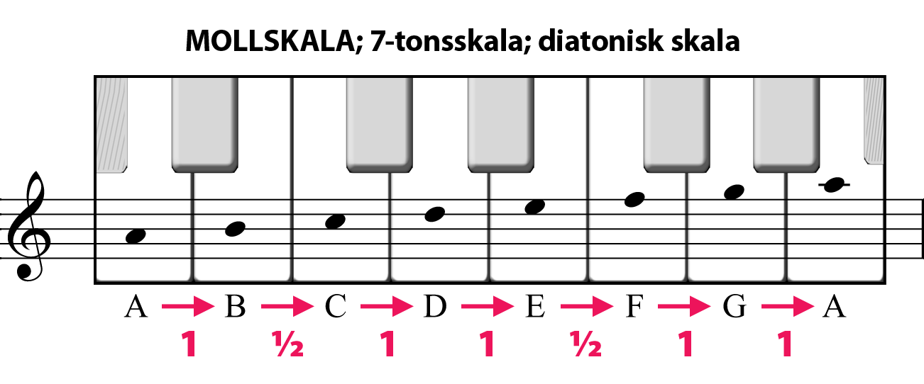 Gunno Klingfors & Kulturkapital AB 2010 13 Ordet diatonisk är grekiskt men betydelsen är oklar. Idag kallas bl.a. skalor med 5 hela och 2 halva tonsteg diatoniska skalor.