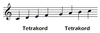 Diatonisk skala En diatonisk skala innehåller hela och halva tonsteg (tetrakord = fyra toners grupp) I regel innehåller en diatonisk skala 5 hela och 2 halva tonsteg