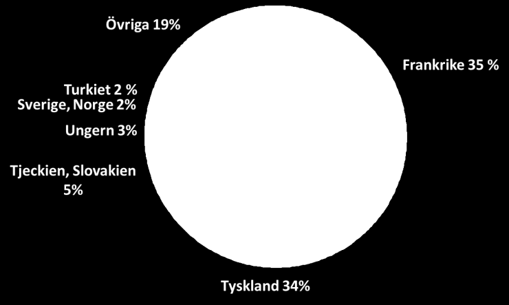 finansiella och politiska situationen i Mellanöstern. Resultat Resultatet för året som helhet blev -6 085 (-2 659) KSEK.