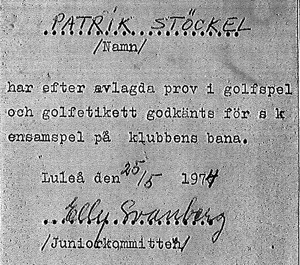 Diskuterades behovet av ett nytt tak på klubbhuset, då det torde vara rimligast att även fortsättningsvis behålla huset som klubbhus. Beslutades att bilda en matrikelkommitté.