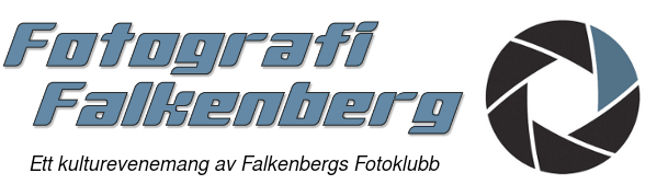 I dagsläget är datumen för våren inte fastställda, se information på: www.foraldrarifalkenberg.